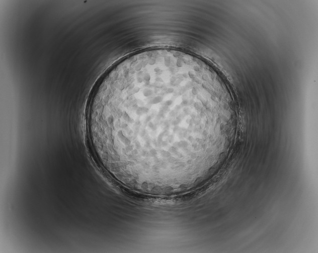 X0000091640890200709201106