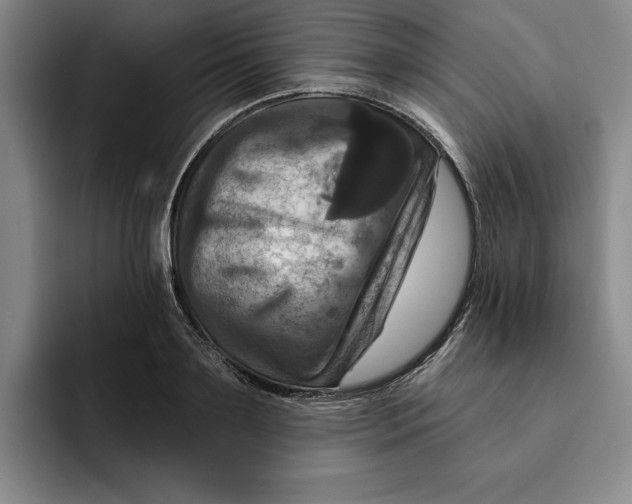 X0000091640891200709201106
