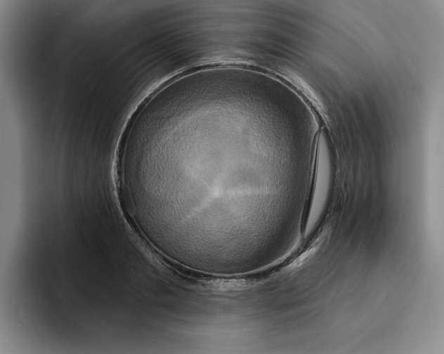 X0000091640893200709201106