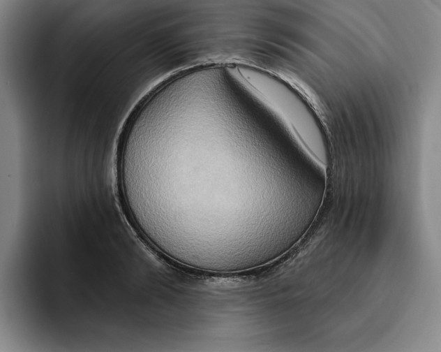 X0000091640894200709201106