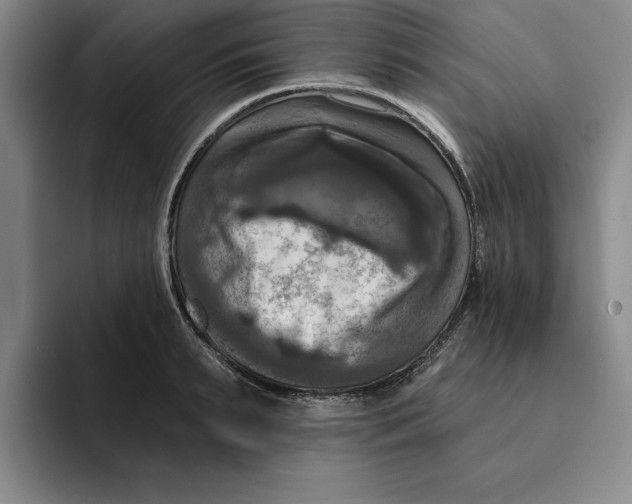 X0000091640895200709201106