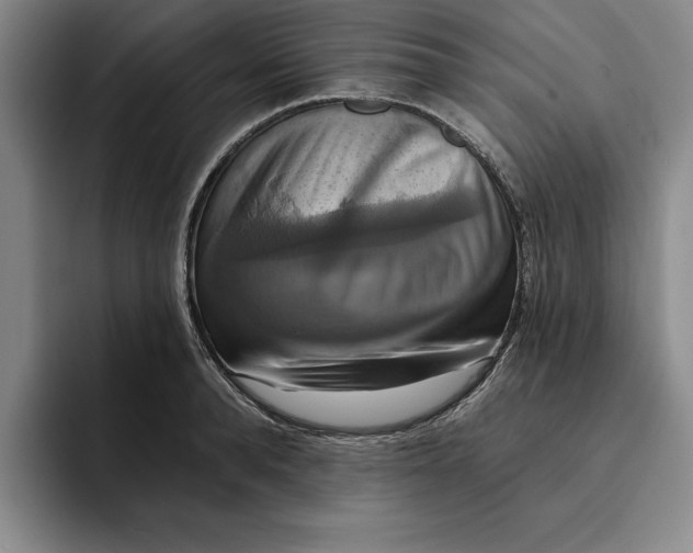 X0000091640896200709201106