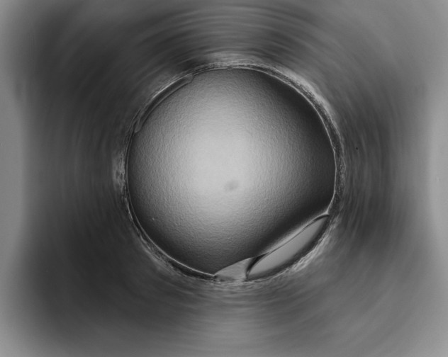 X0000091640897200709201106