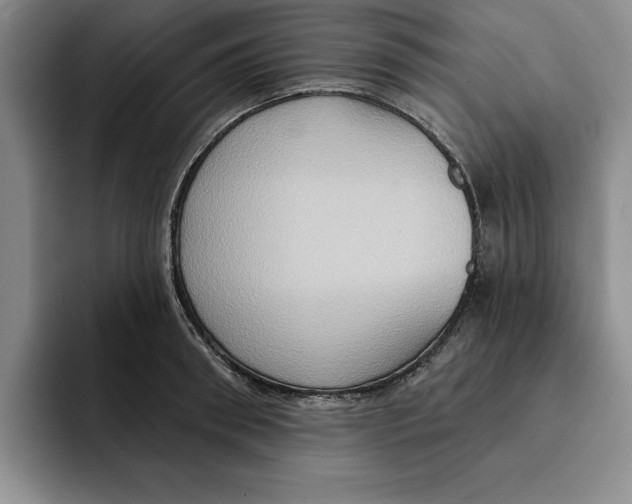 X0000091640898200709201106