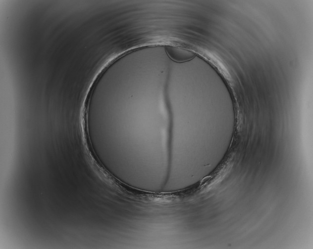 X0000091640899200709201106