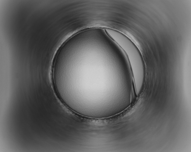 X0000091640901200709201106