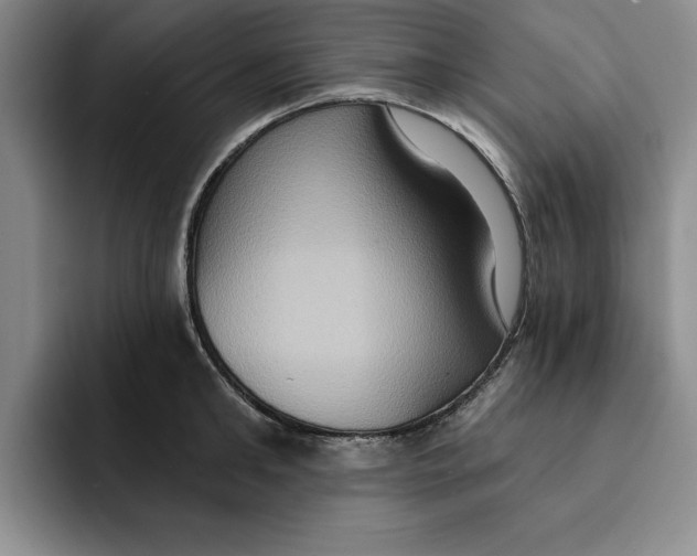 X0000091640902200709201106
