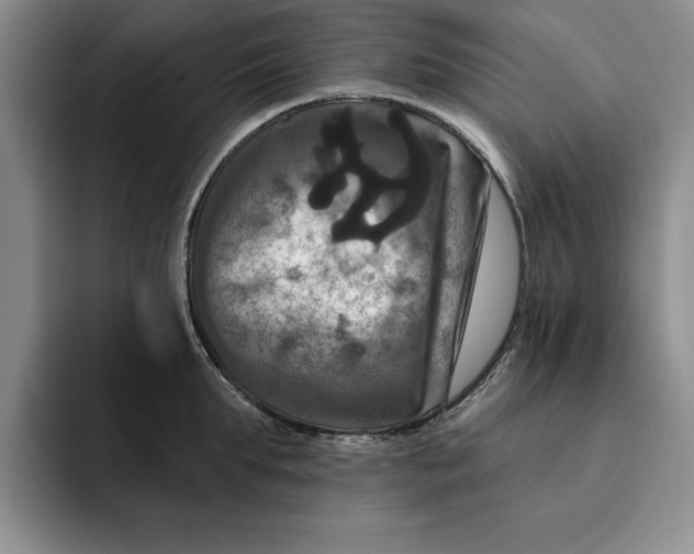 X0000091640903200709201106