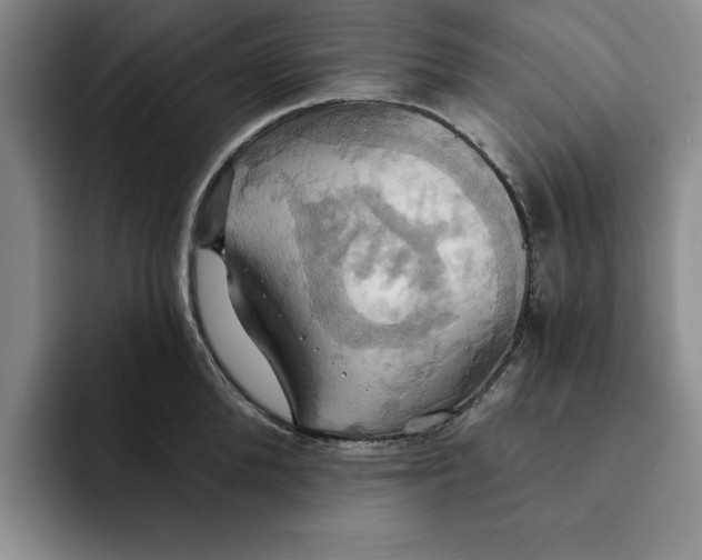X0000091640904200709201106