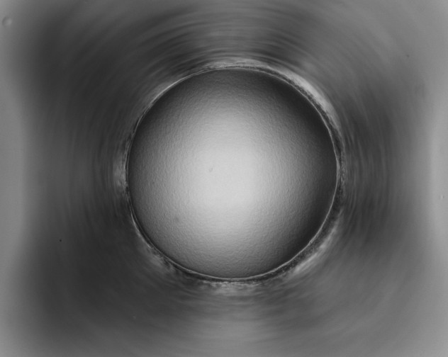 X0000091640905200709201106