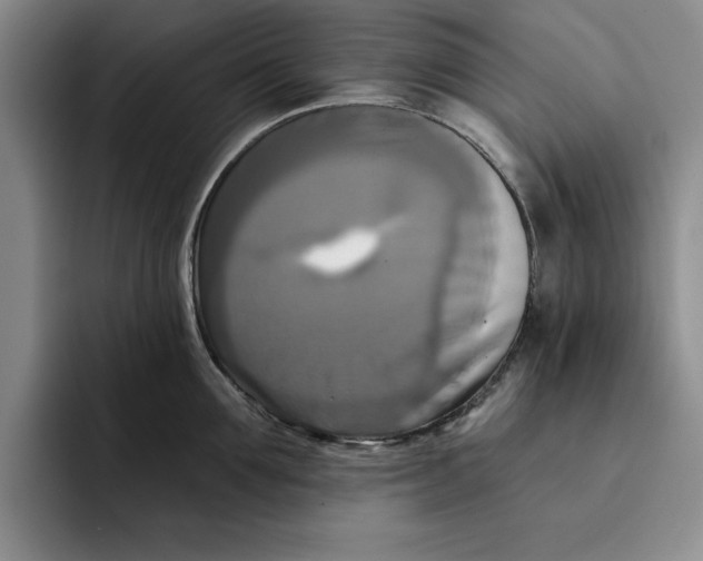 X0000091640907200709201106