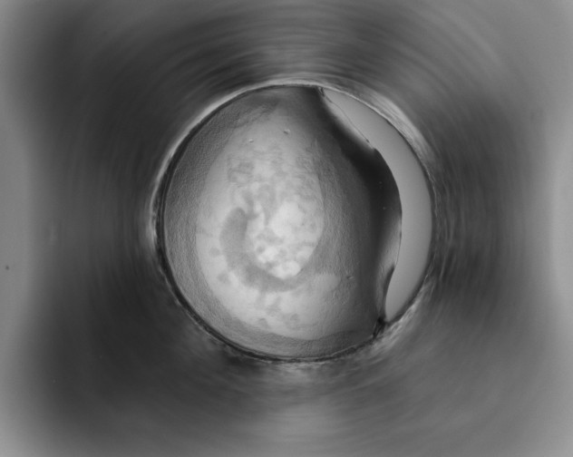 X0000091640908200709201106