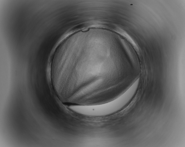 X0000091640910200709201106