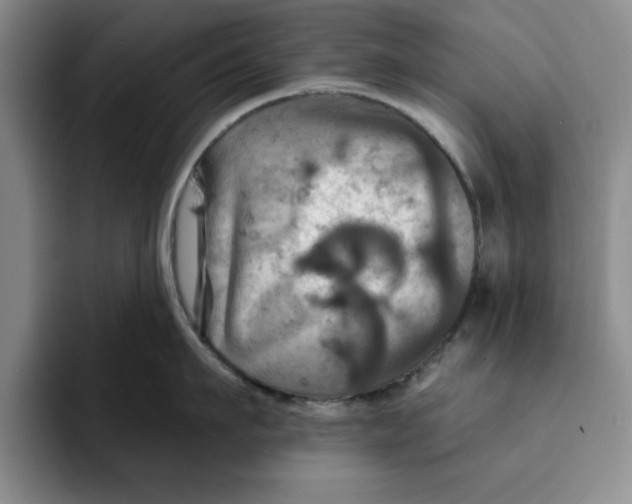 X0000091640911200709201106