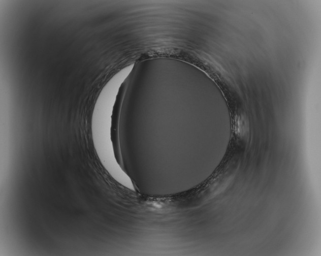 X0000091640915200709201105