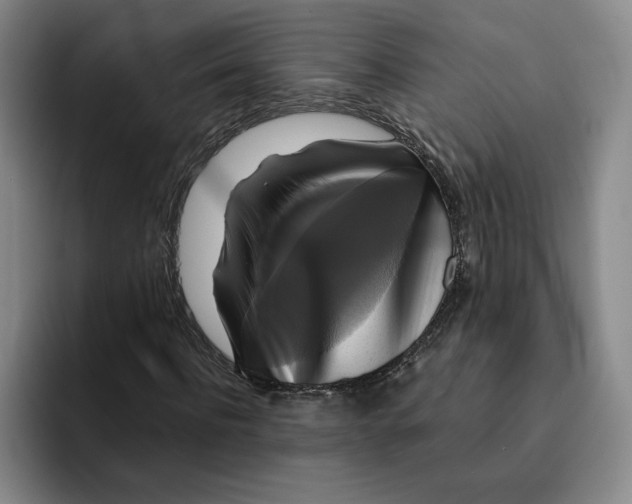 X0000091640916200709201105