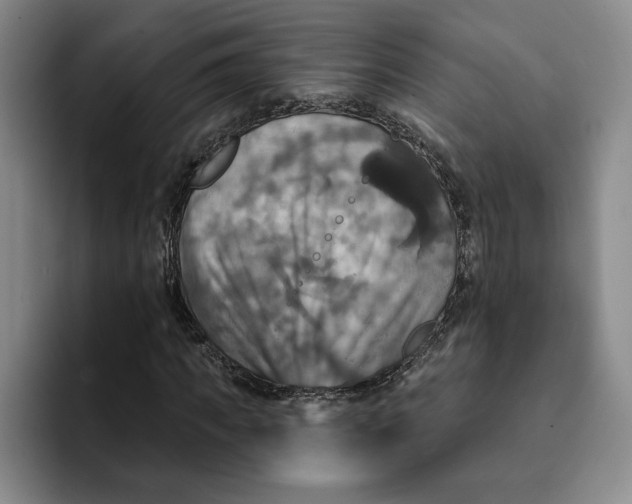 X0000091640917200709201105