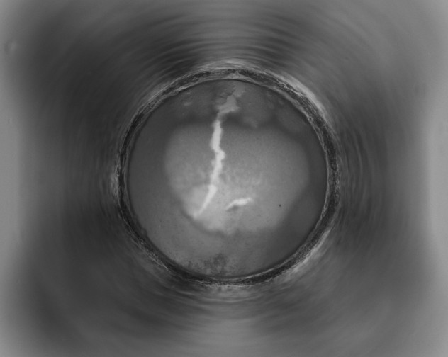 X0000091640921200709201105