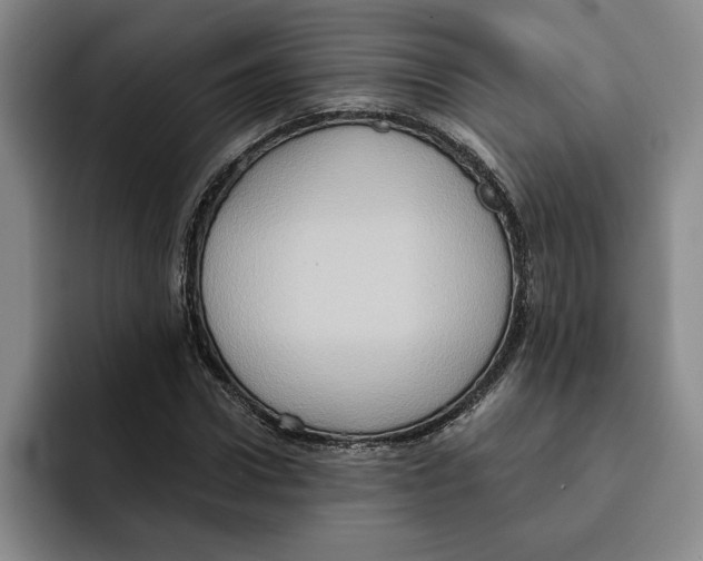 X0000091640922200709201105