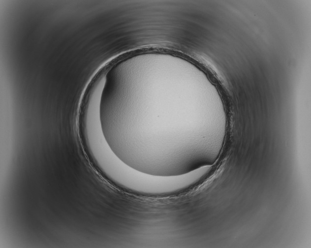 X0000091640924200709201105