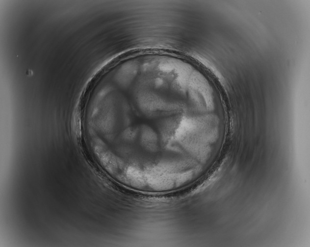 X0000091640925200709201105