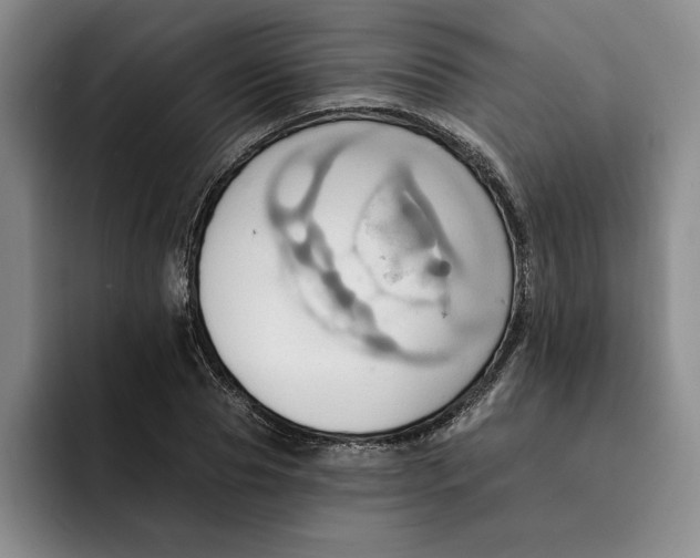 X0000091640929200709201105