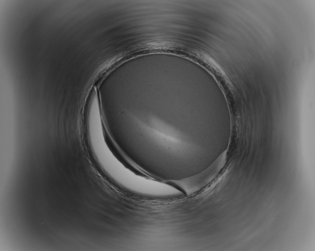 X0000091640930200709201105