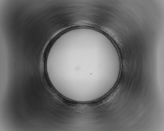 X0000091640931200709201105