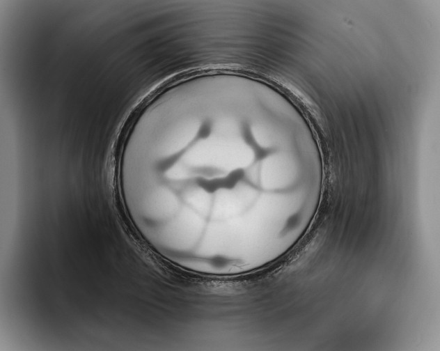 X0000091640933200709201105