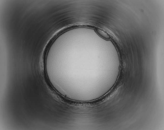 X0000091640934200709201105