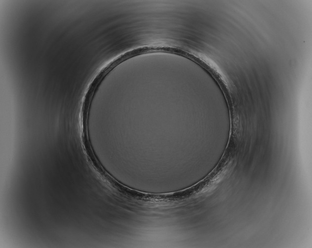 X0000091640935200709201105
