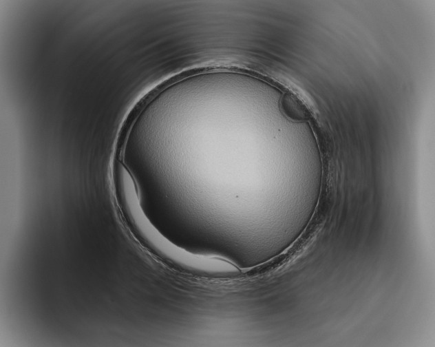 X0000091640936200709201105