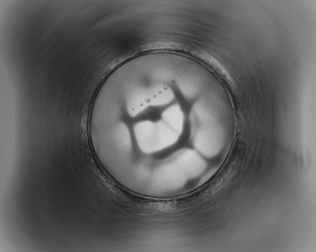 X0000091640937200709201105
