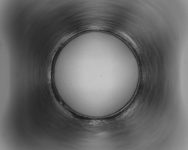 X0000091640938200709201105