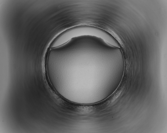 X0000091640939200709201105