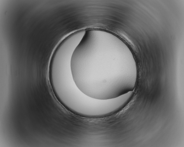 X0000091640940200709201105