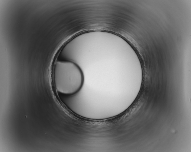 X0000091640941200709201105