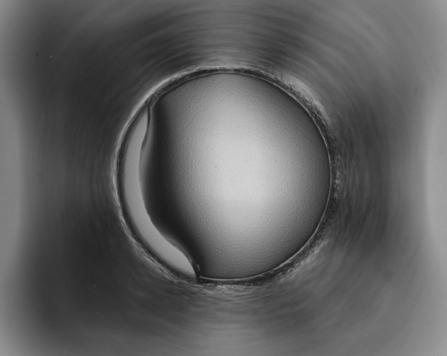 X0000091640942200709201105