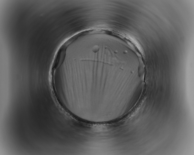 X0000091640944200709201105