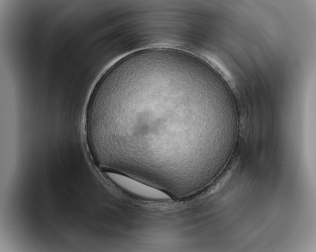 X0000091640948200709201105
