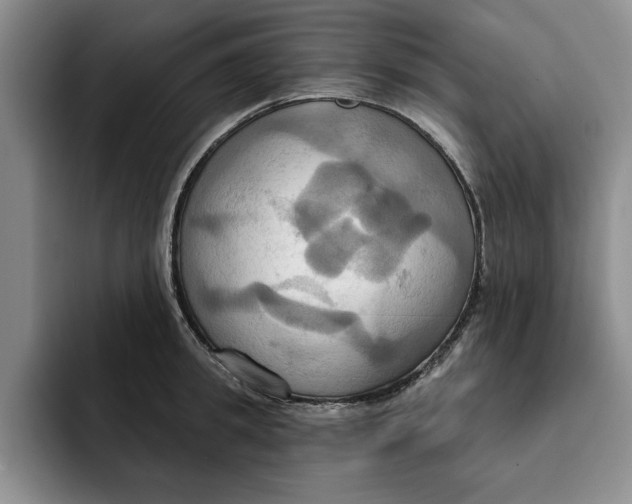 X0000091640949200709201105