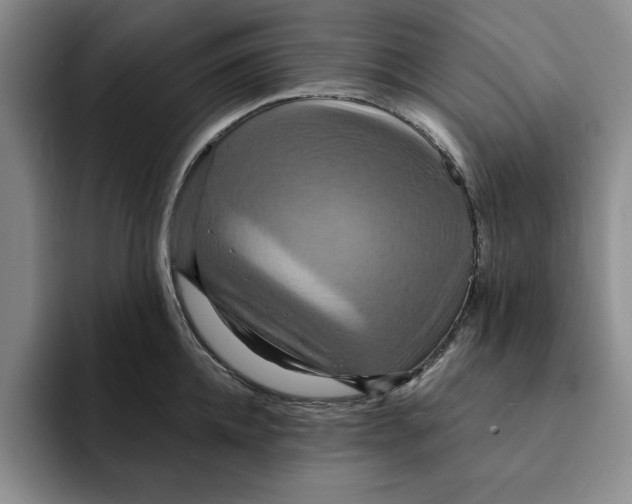 X0000091640952200709201105