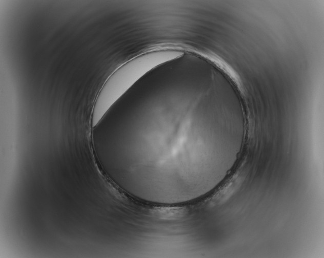 X0000091640953200709201106