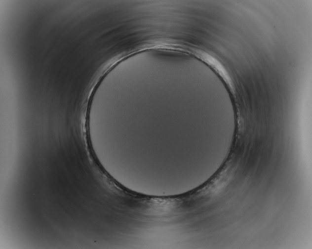 X0000091640954200709201106