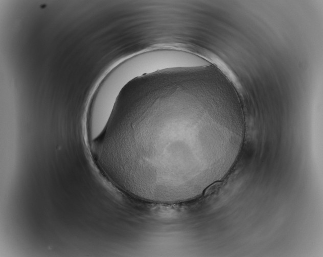 X0000091640955200709201106