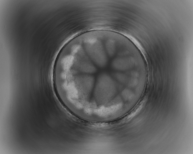 X0000091640957200709201106
