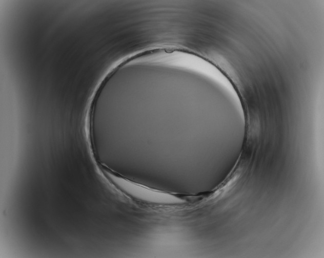 X0000091640958200709201106