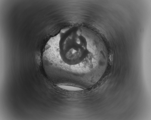 X0000091640963200709201105