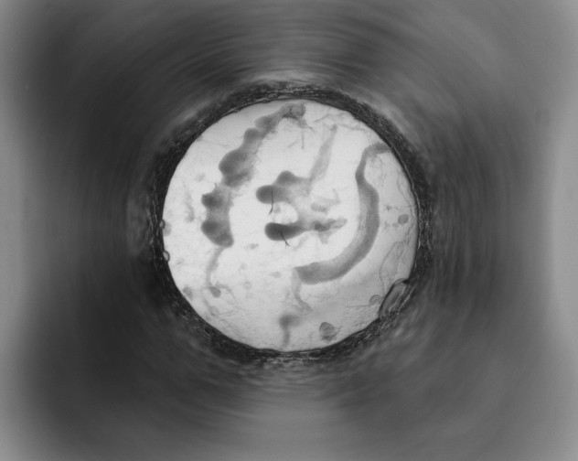 X0000091640967200709201105