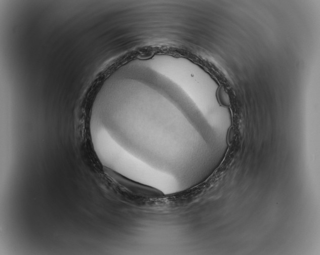 X0000091640968200709201105